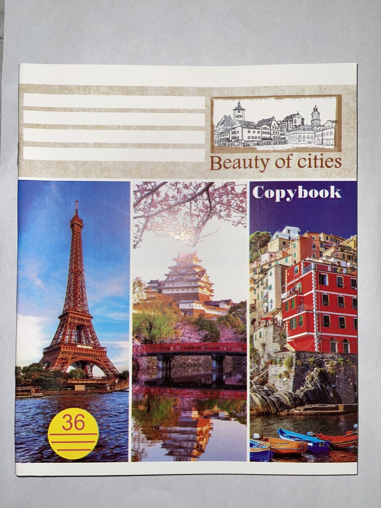 Общая тетрадь Вектор Mix, 36 л, А5, линейка, мягкая обложка, 1 шт